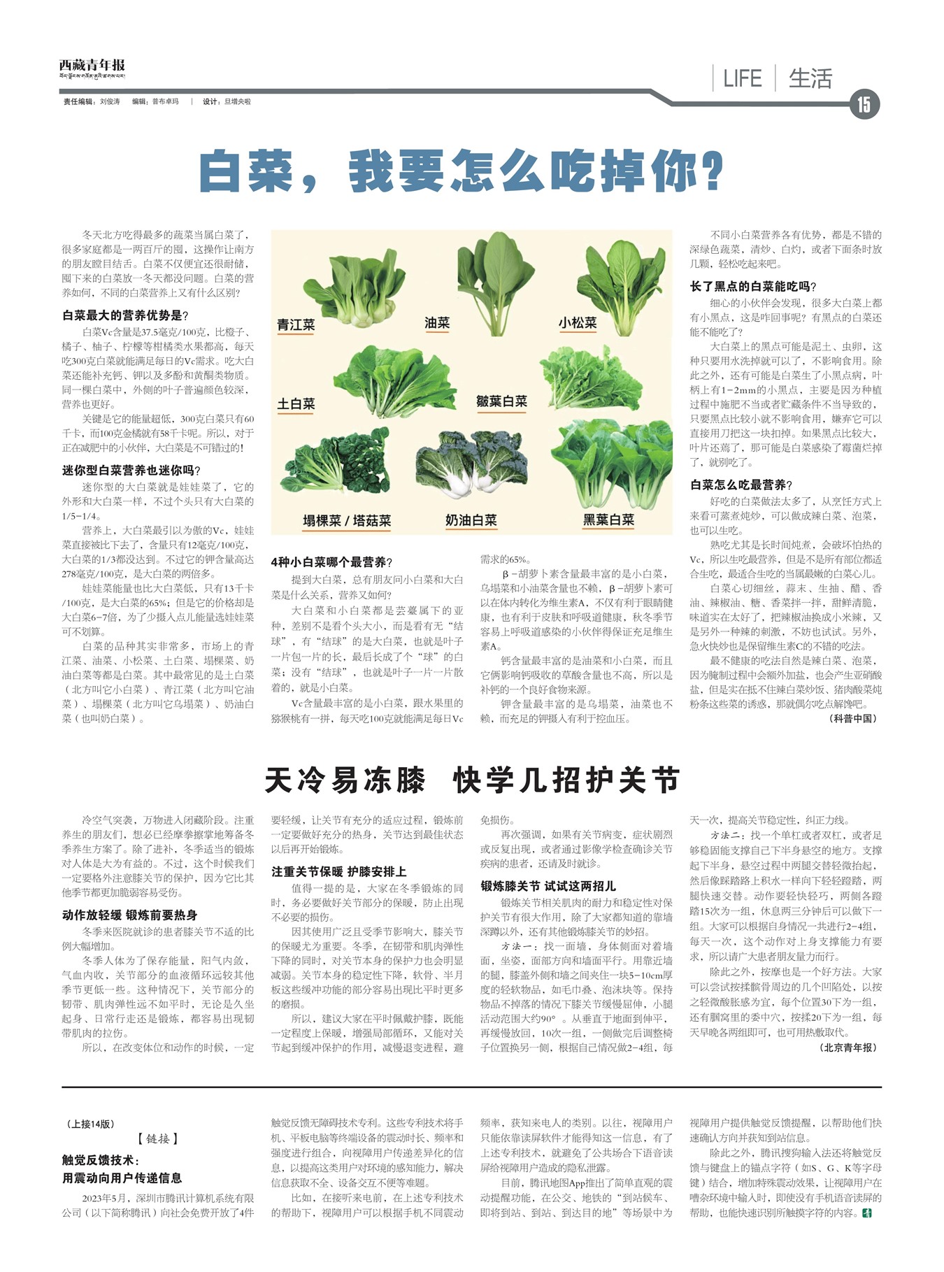 西藏青年报生活