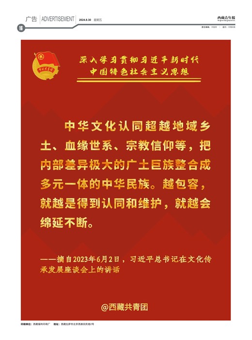 西藏青年报广告