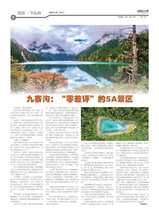 �������걨����