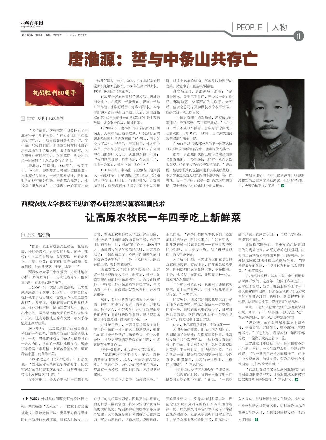 �������걨����