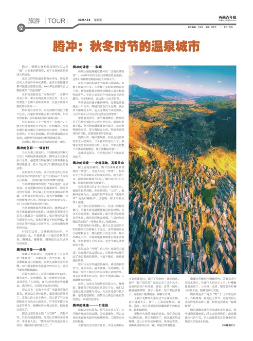 �������걨����