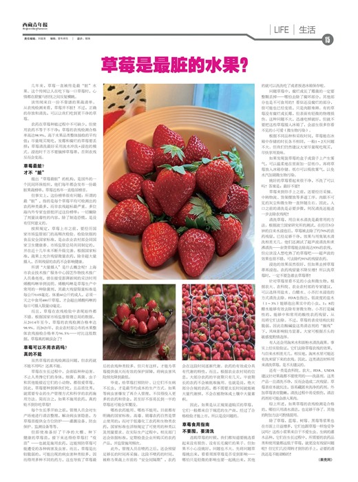 西藏青年报生活