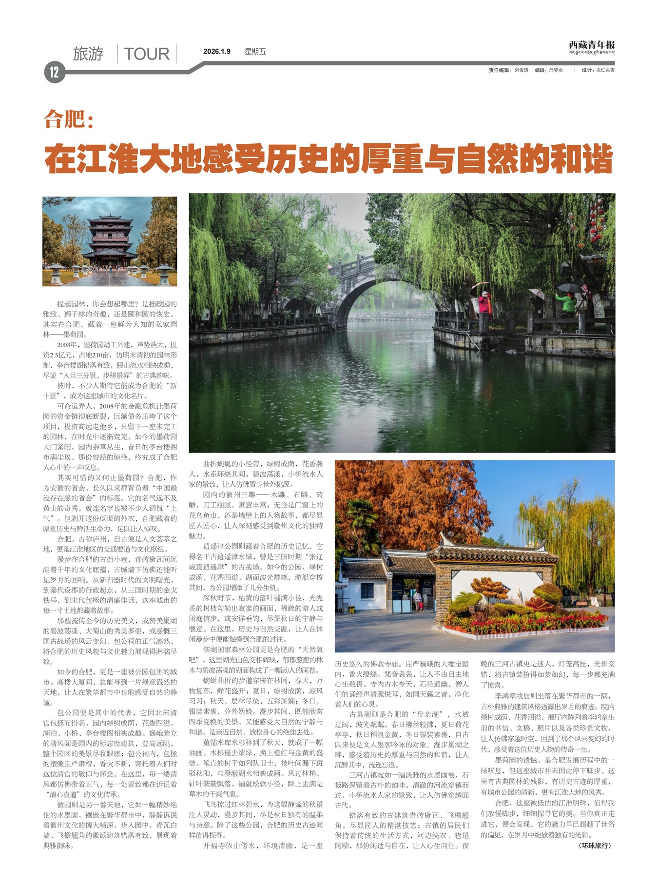 �������걨����