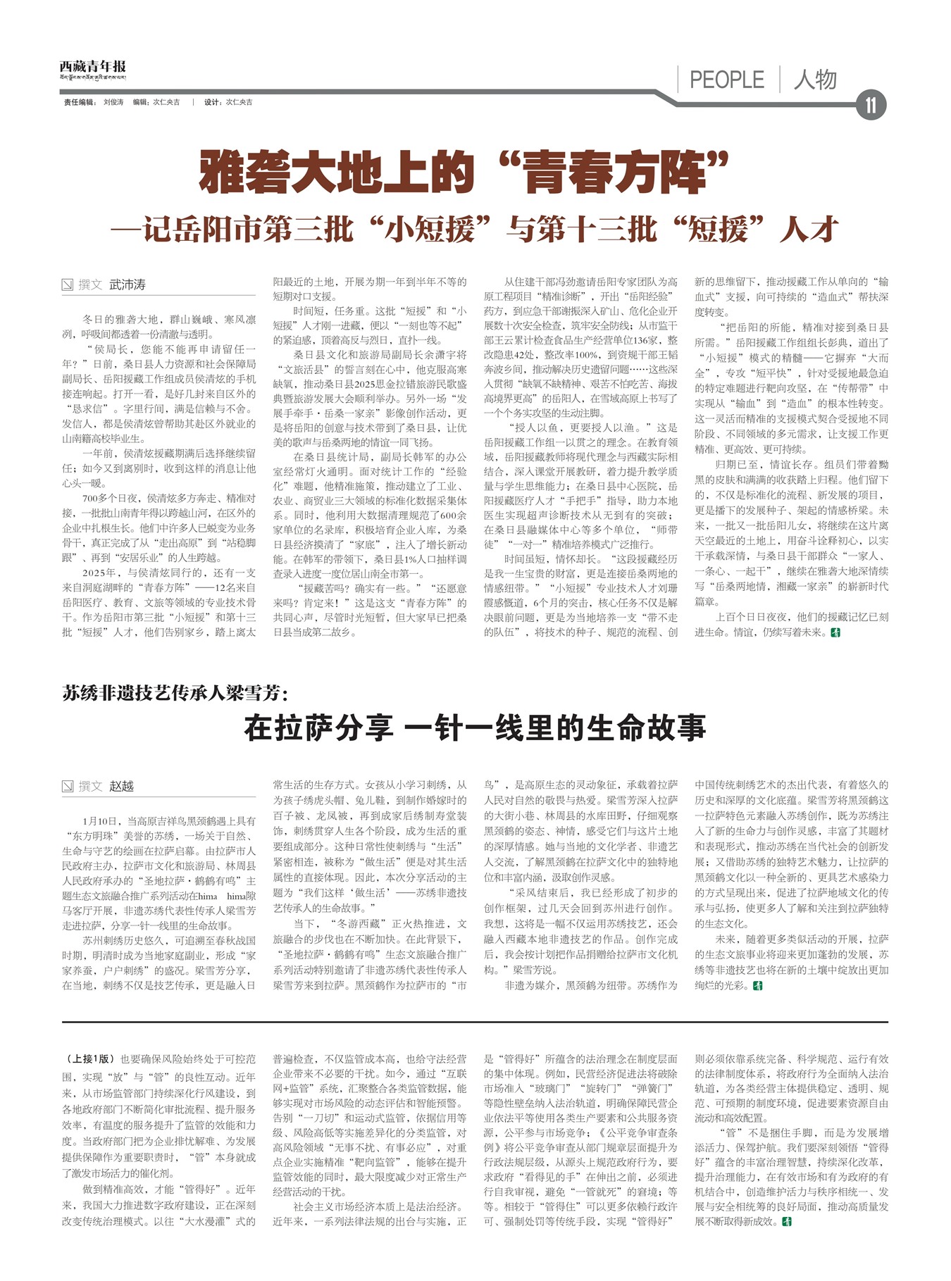 �������걨����