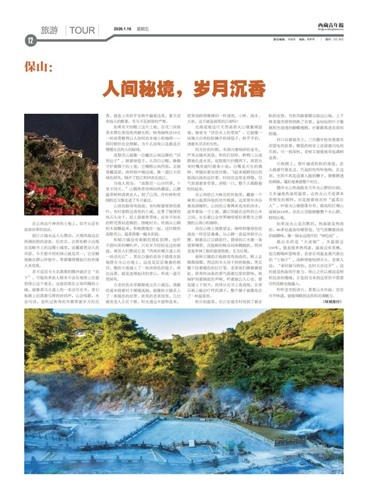 �������걨����