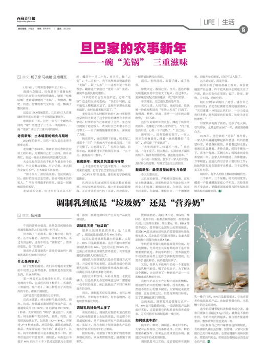 �������걨����