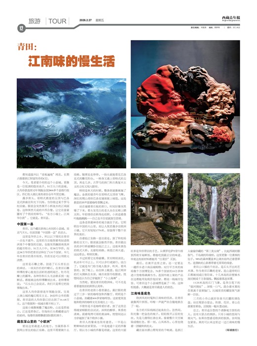 �������걨����