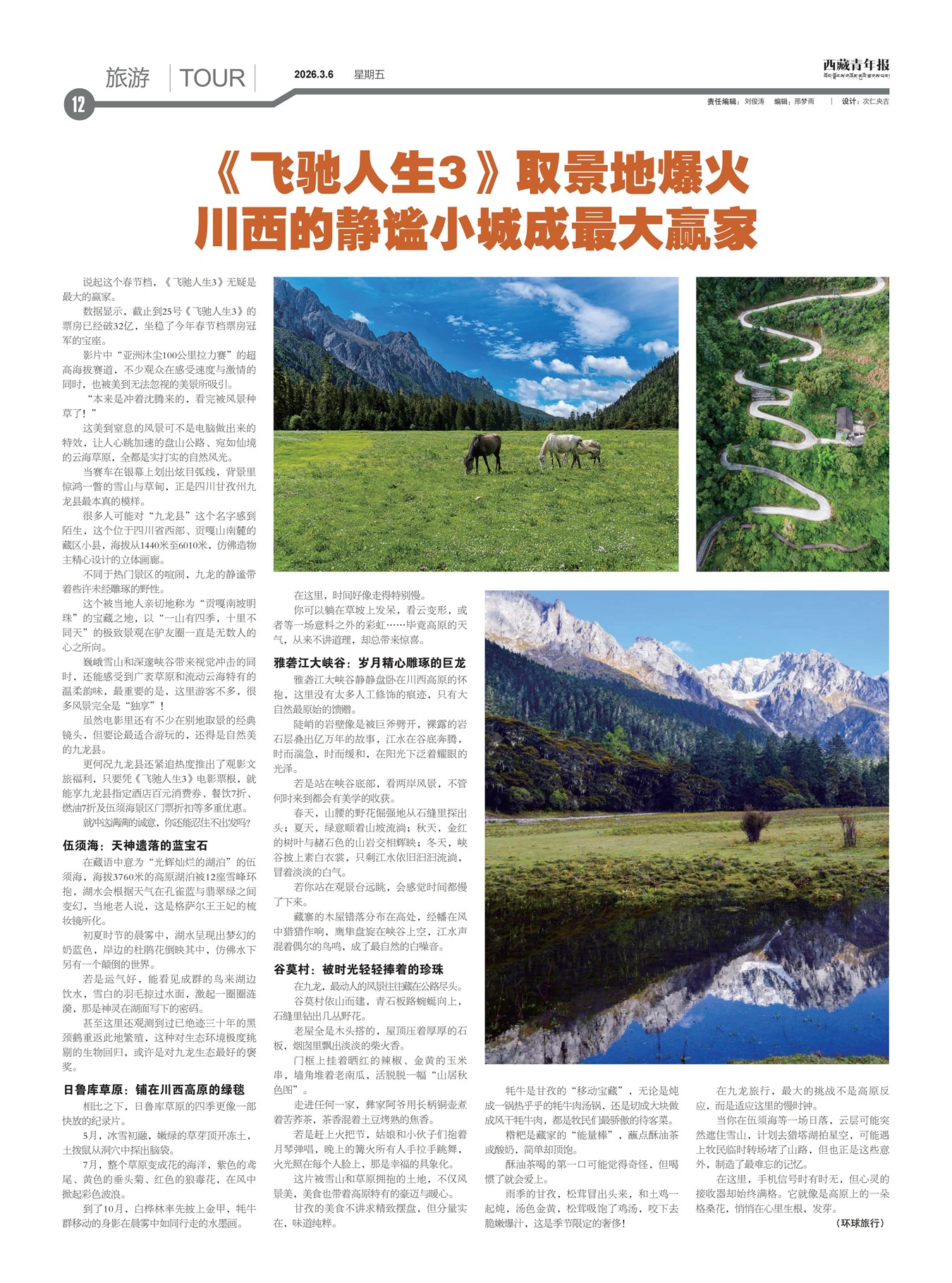 �������걨����