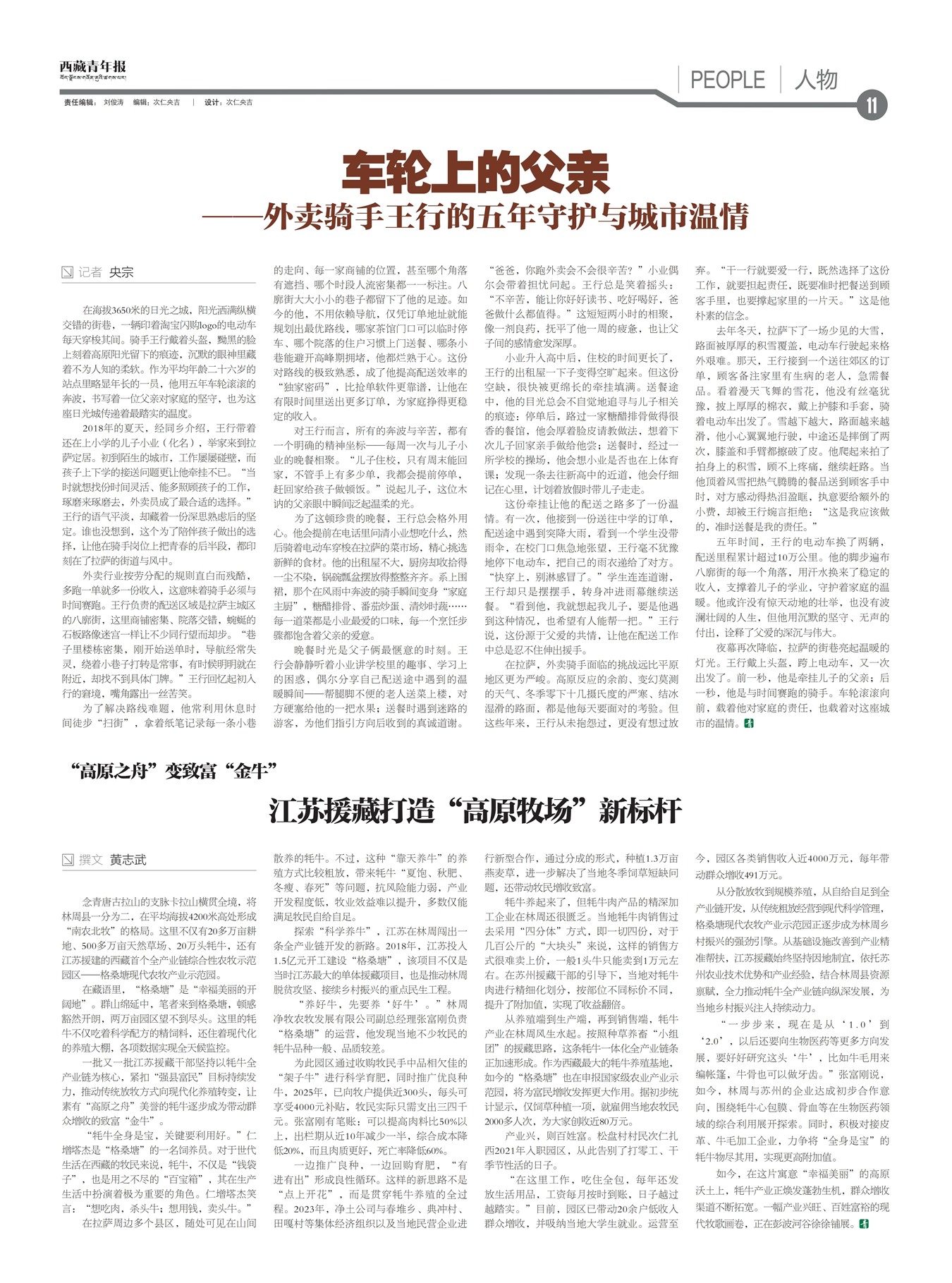 �������걨����