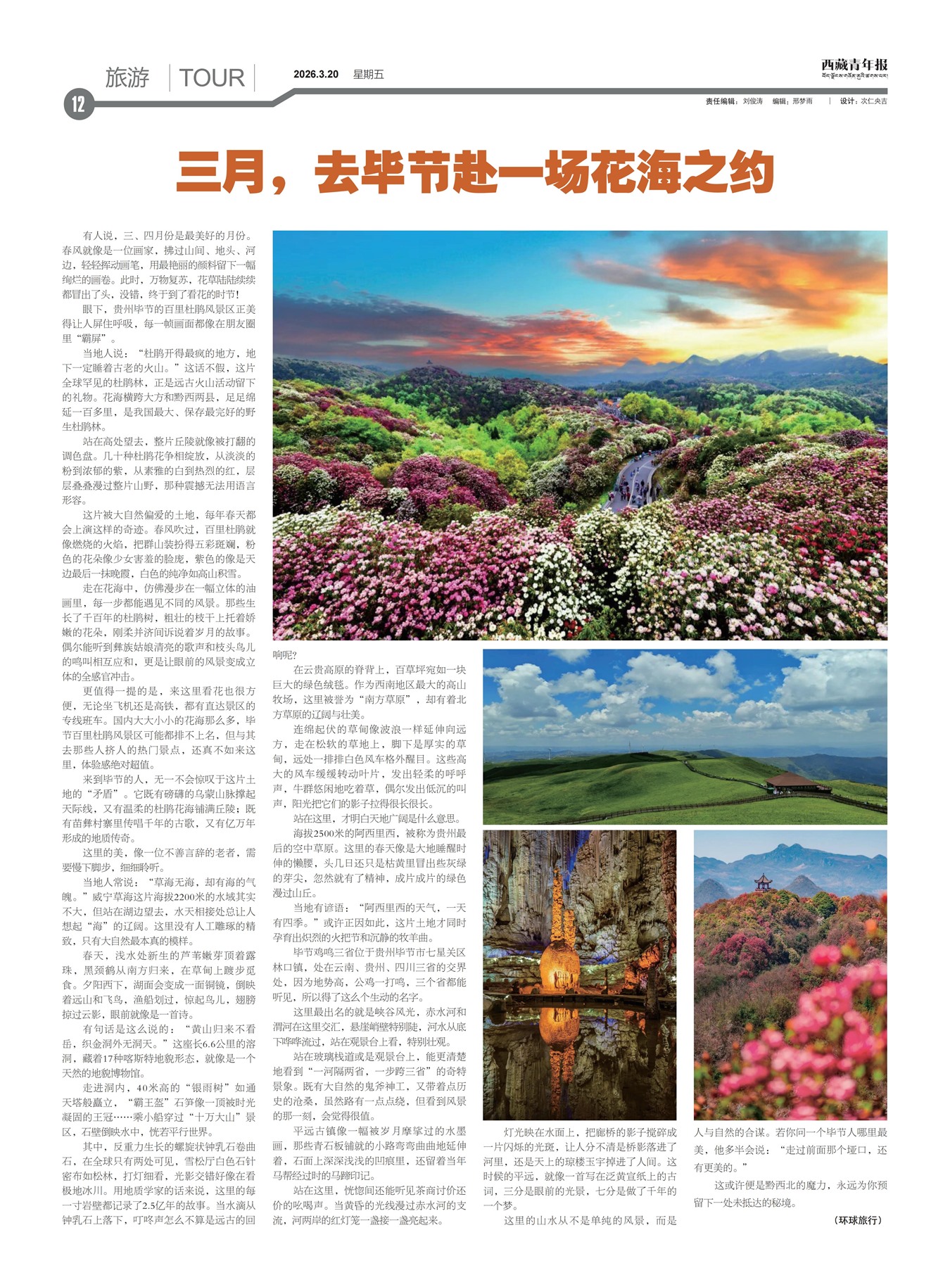 �������걨����