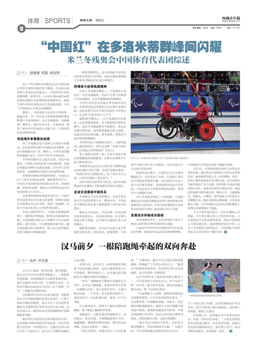 �������걨����