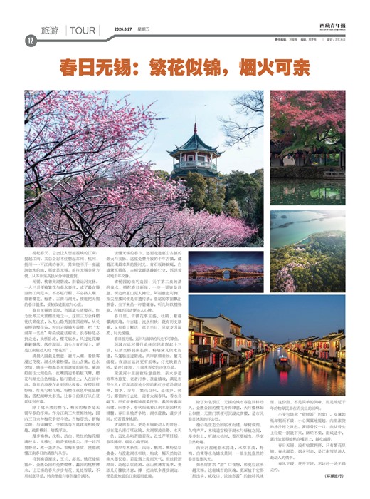 �������걨����