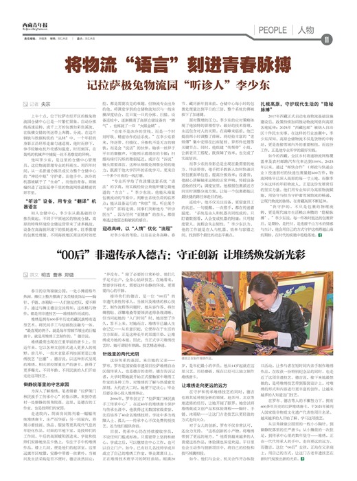 �������걨����