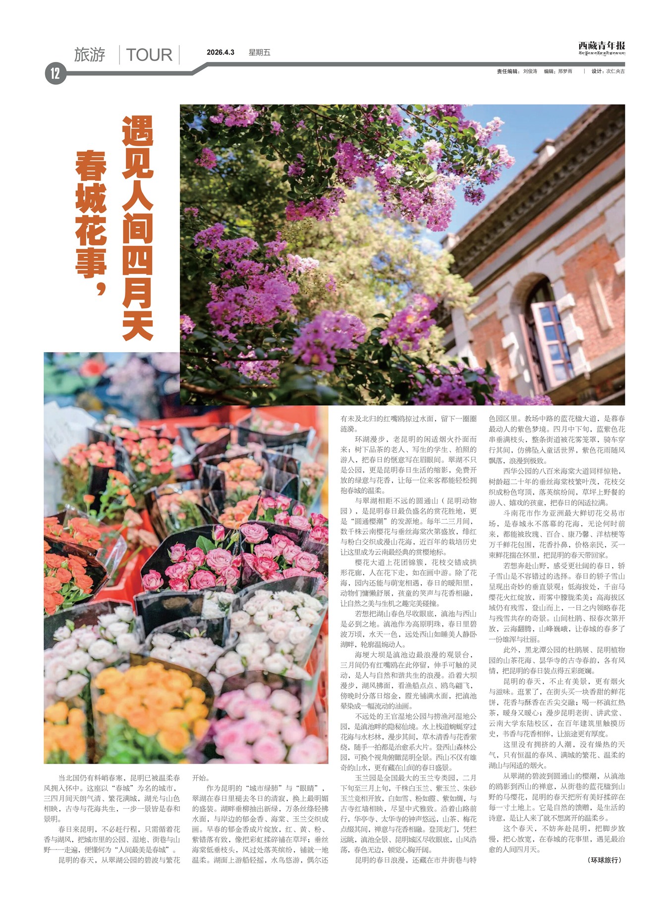 �������걨����