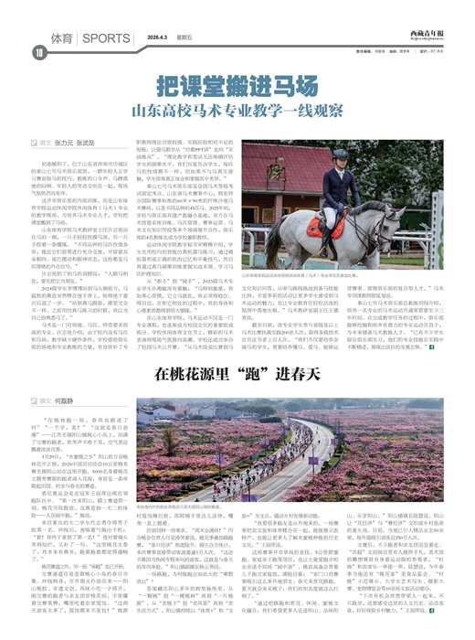 �������걨����