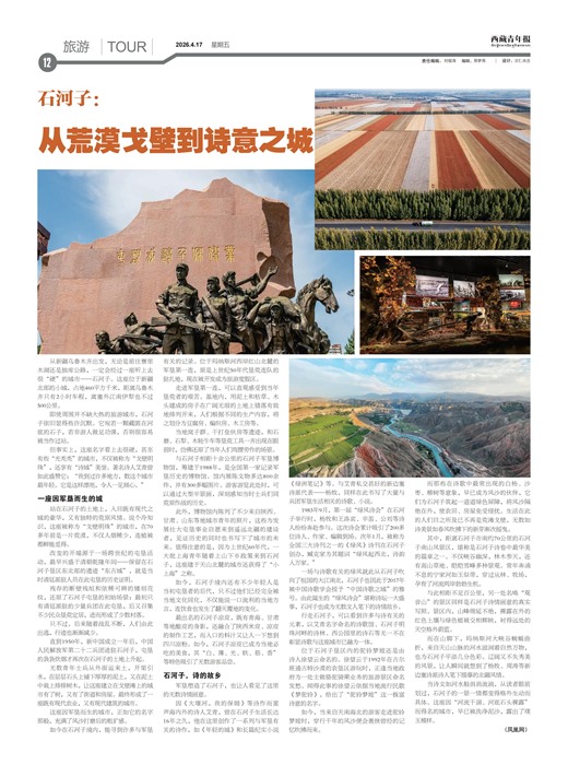 �������걨����